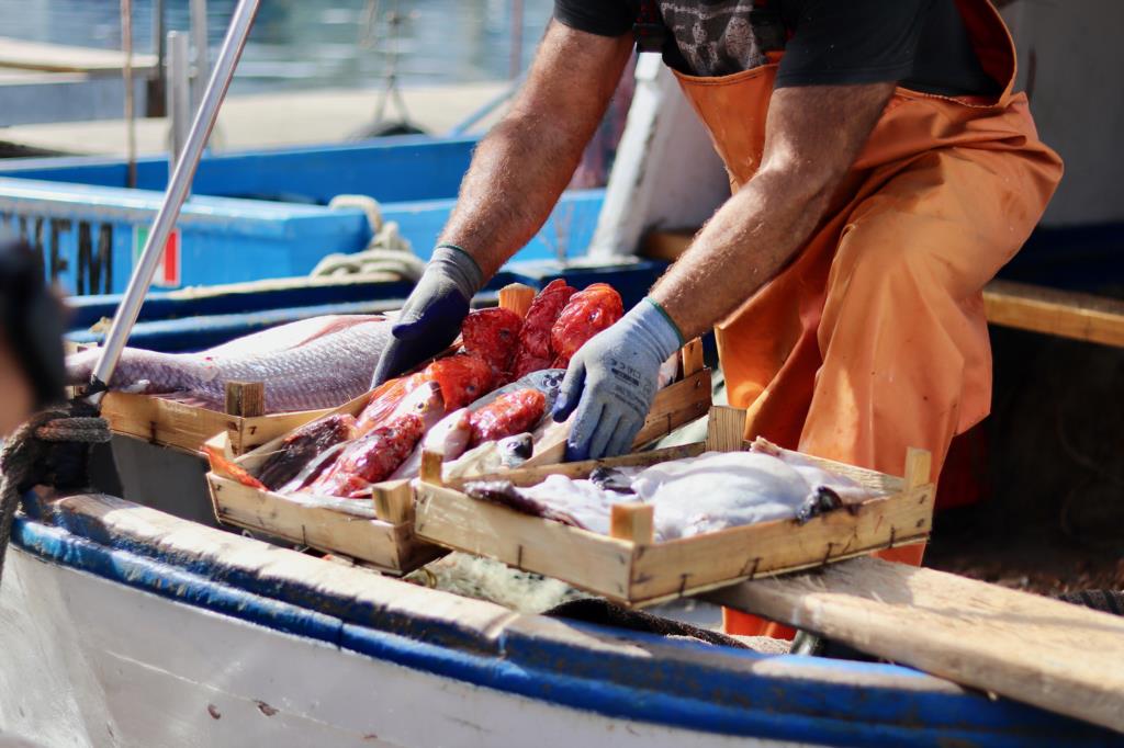 Etichettatura e tracciabilità del pescato locale, il bando del Flag trapanese